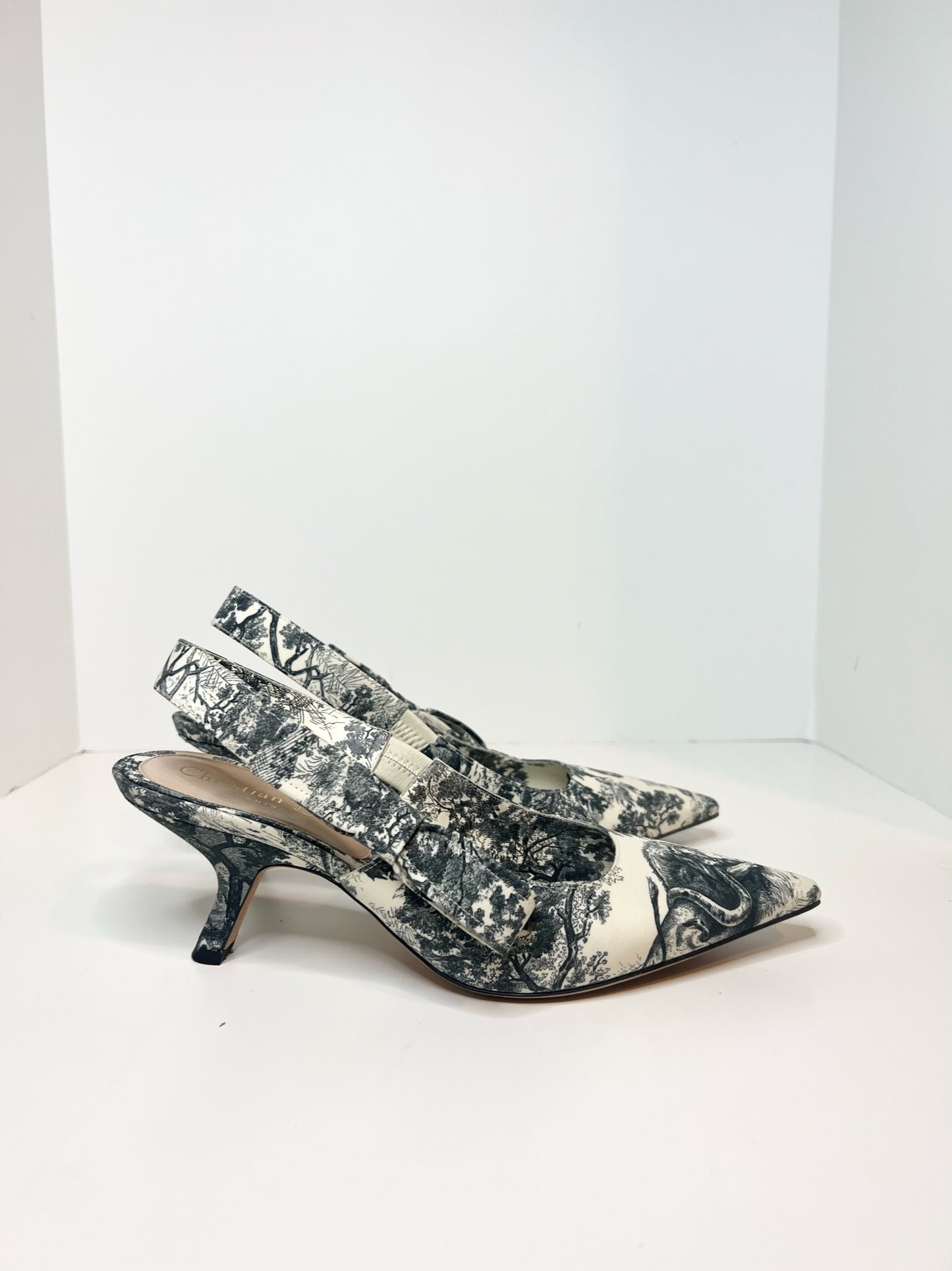 Christian Dior Toile De Jouy J’adior Slingback, Size 37.5