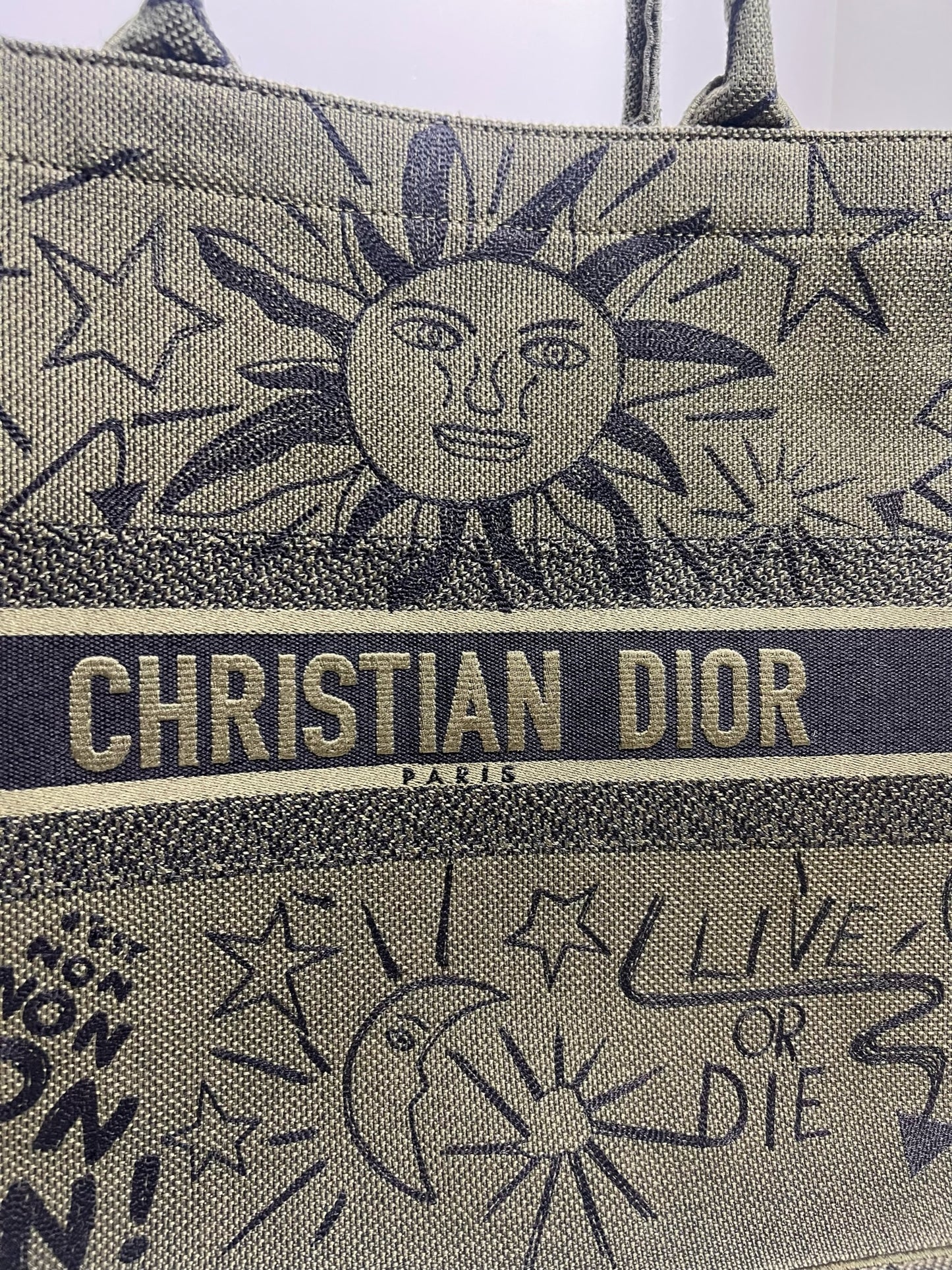 Christian Dior Large Graffiti Book Tote, Green