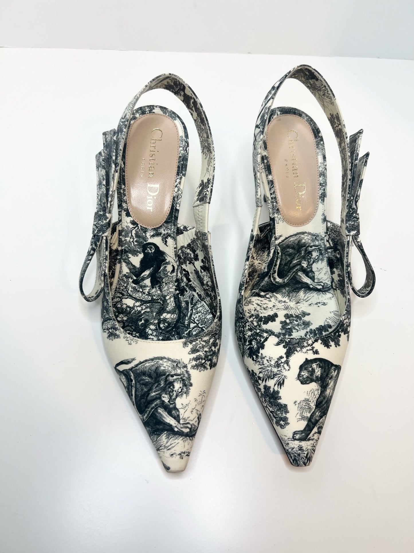 Christian Dior Toile De Jouy J’adior Slingback, Size 37.5