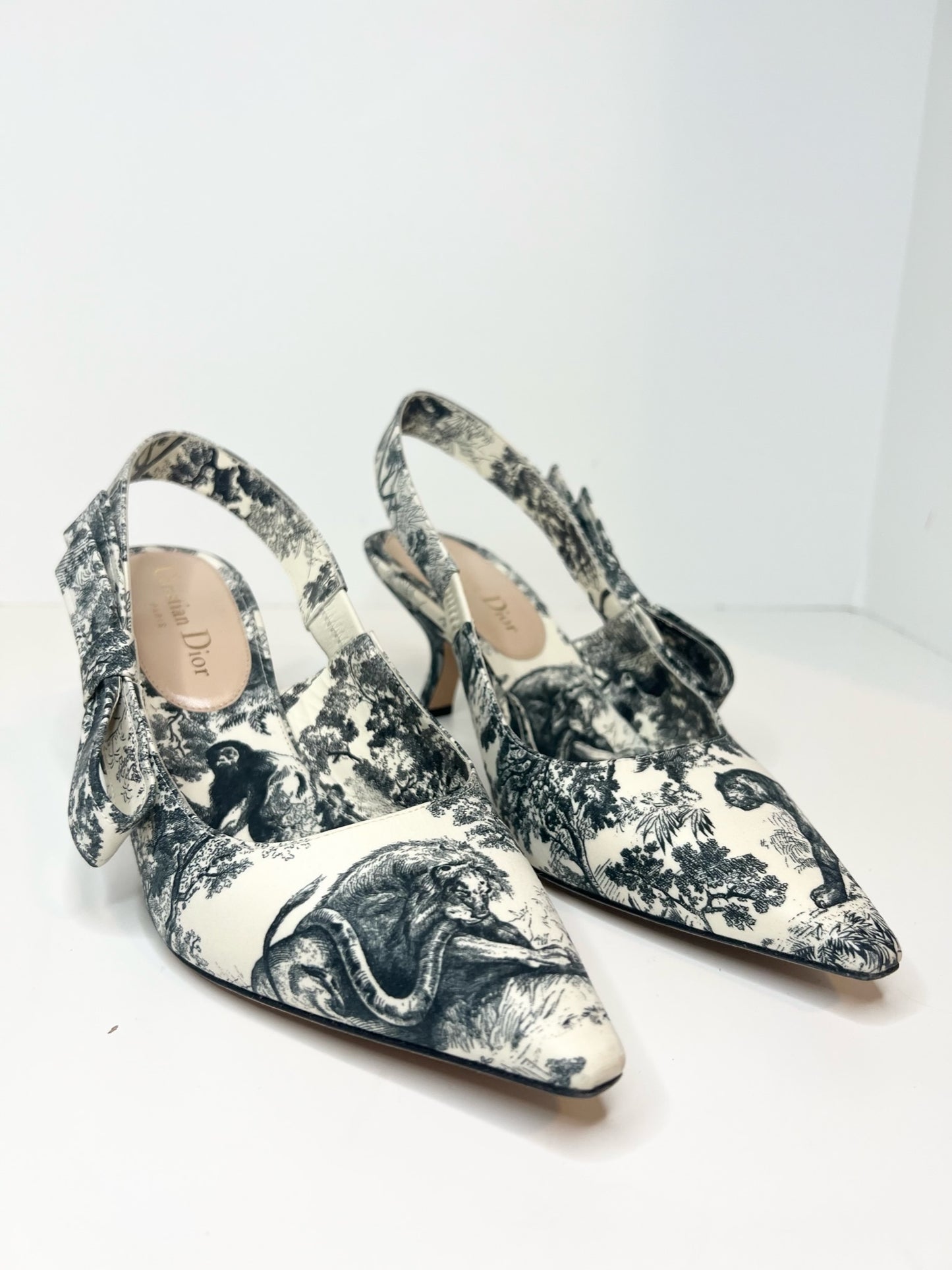 Christian Dior Toile De Jouy J’adior Slingback, Size 37.5