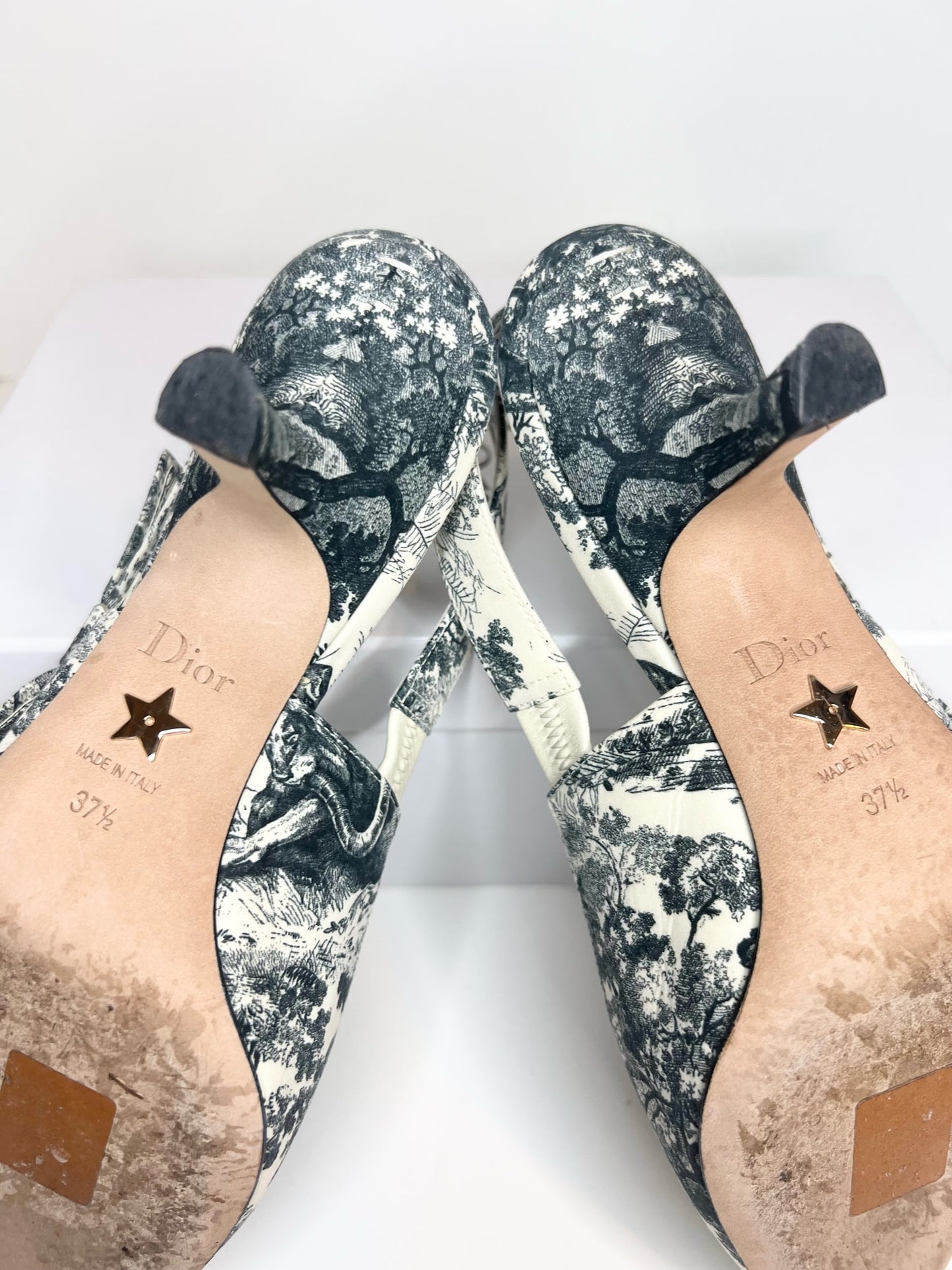 Christian Dior Toile De Jouy J’adior Slingback, Size 37.5