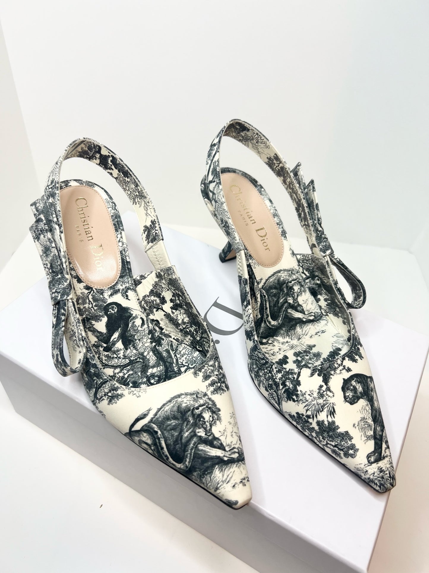 Christian Dior Toile De Jouy J’adior Slingback, Size 37.5