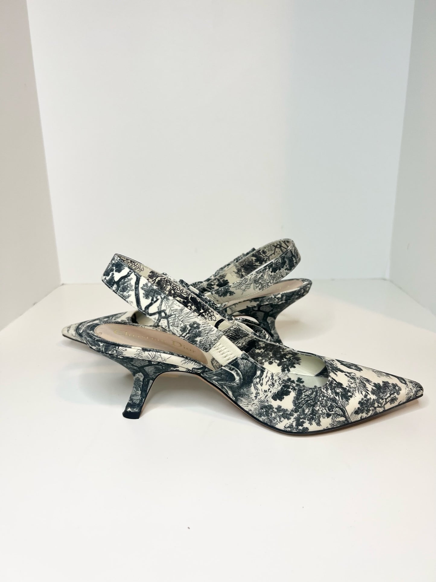 Christian Dior Toile De Jouy J’adior Slingback, Size 37.5