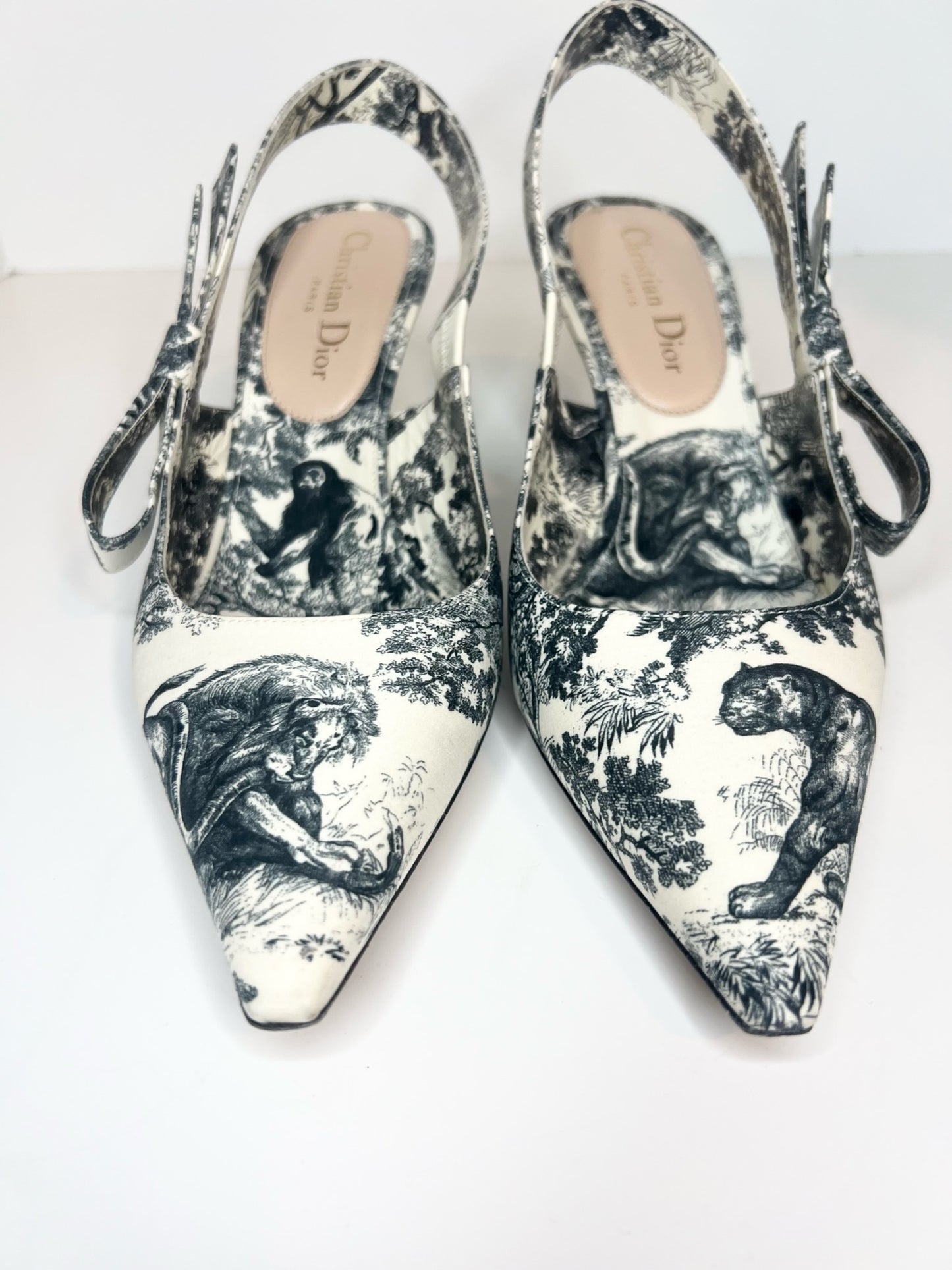 Christian Dior Toile De Jouy J’adior Slingback, Size 37.5